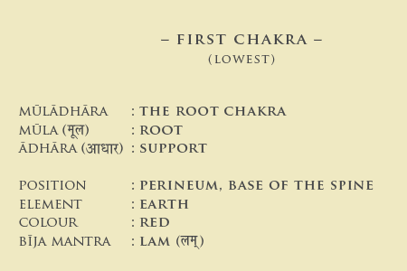 First Chakra