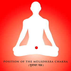 Position of the Muladhara Chakra