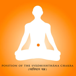 Position of the Svadhishthana Chakra