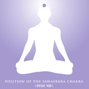 Position of the Sahasrara Chakra